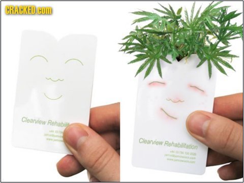 CRACKED COMI Clearview Rehabo Cleanview Rehablitation 5