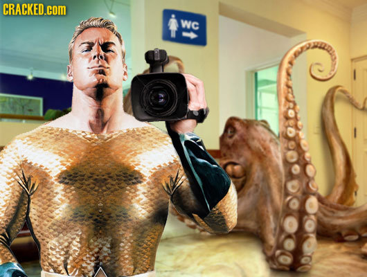 CRACKED.COM WC Cbbedsy