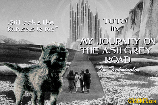 20 Classic Movies From the Perspective of Minor Characters