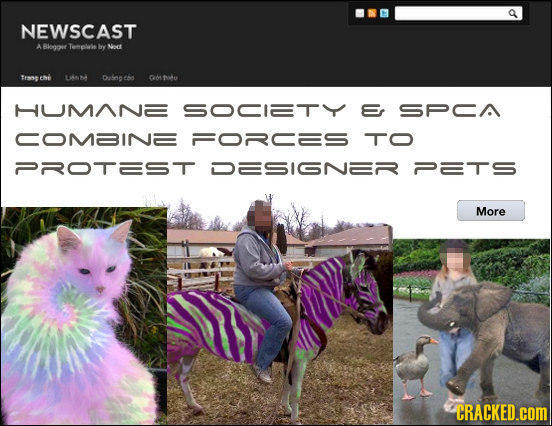 NEWSCAST ABlogoif Terol'ie by Nct Trans L u Daln es Gorthtu HUMANE SOC1TY Er SPCA COMINE FORCES TO PR0T25T DESIGNER 22T5 More CRACKED.cOM