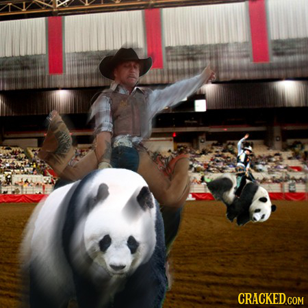 21 Rules We Should Suspend/Enforce One Day Each Year