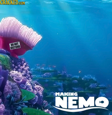 CRAGKEDCON DO NOT DISTURB MAKING NEMO