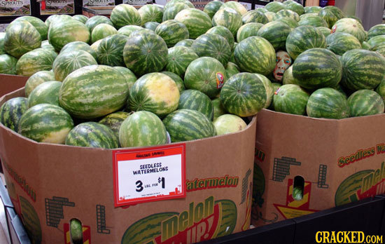 M SAOSE P SEEDLESS I Seearese WATERMELOAE 3 atesmelon Mhelan CRACKED.COM