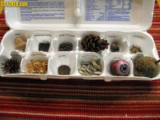 CRACKED.cOM Ok BLCKEVE SusaN FOU O'CLOCK ZINMIA NCARE CALENTALLA poPY SUnEOWER Oe SALIE