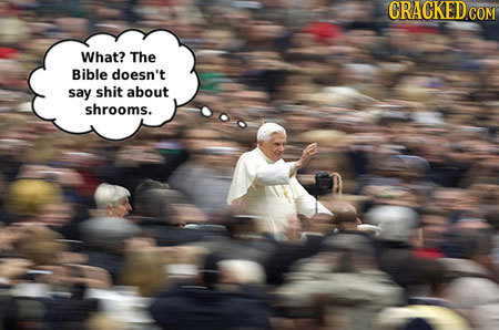 What? The Bible doesn't say shit about shrooms.