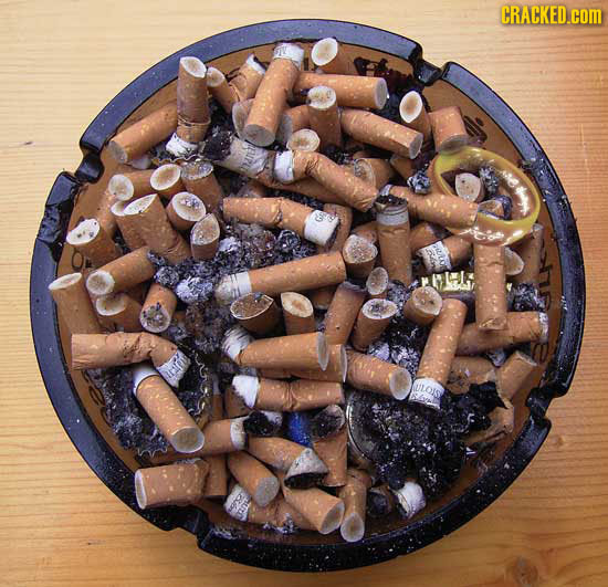 13 Things That Changed the World (by Getting Thrown Away)