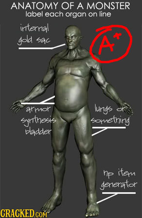 ANATOMY OF A MONSTER label each organ on line internal gold sac A armok lungs OR syrthesis something ladder hp item generator