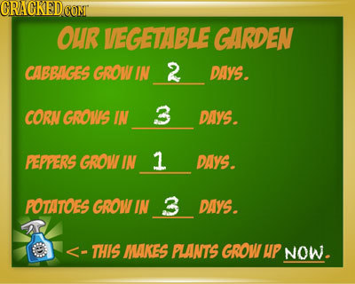 GRAGKEDCOML OuR VEGETABLE GARDEN CABBIGES GROW IN 2 DAYS. CORN GROVIS IN 3 DAYS. PEPPERS GROW IN 1 DAYS. POTATOES GROW IN 3 DAYS. - THIS MAKES PLANTS
