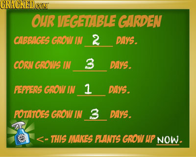 GRAGKEDCOML OuR VEGETABLE GARDEN CABBIGES GROW IN 2 DAYS. CORN GROVIS IN 3 DAYS. PEPPERS GROW IN 1 DAYS. POTATOES GROW IN 3 DAYS. - THIS MAKES PLANTS 