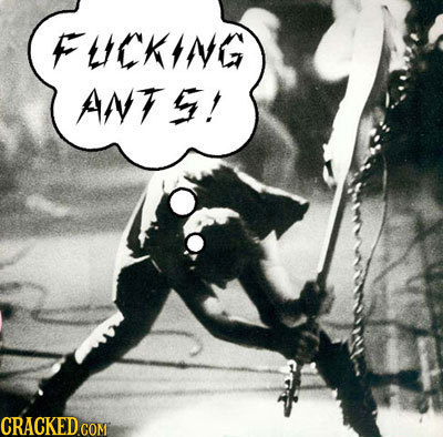 FLEKING ANT ! 
