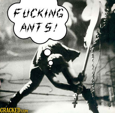 FLEKING ANT !