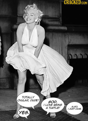 TOTALLY OVULAR, OUDE! SOD. LOVE BEING ALSO A TLRTLE! t JUST CAVE. YES.