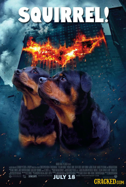 SQUIRREL! B GRE DBKRNE M CJN SYNCOPY JULY 18 CRACKED.CoM