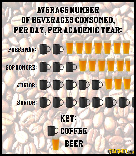 AVERAGE NUMBER OF BEVERAGES CONSUMED, PER DAY, PER ACADEMIC YEAR: FRESHMAN: SOPHOMORE: JUNIOR: SENIOR: :PIPPIPPIP KEY: D COFFEE BEER CRACKEDCON 