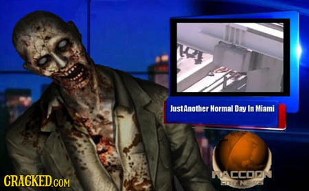 JustAnother Hormal Day In Miami RACCOON EITY NELE