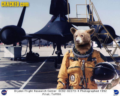 19 Famous Photographs Before The CIA Edited Them