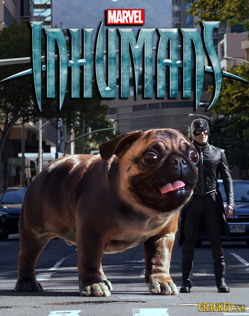 TCMEIS MARVEL CRACKEDOON