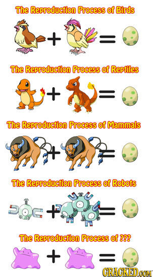 The Reproduction Process of Birds The Reproduction Process of Reptiles The Reproduction Process of Mammals The Reproduction Process of Robots The Repr