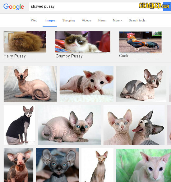 Google RACRED shaved pussy Web Images Shopping Videos News More Search tools Hairy Pussy Grumpy Pussy Cock