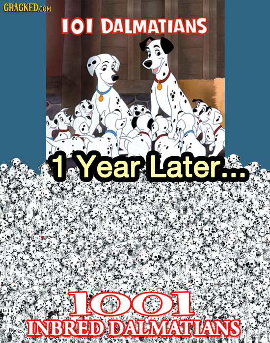 If Movie Sex & Romance Were Realistic