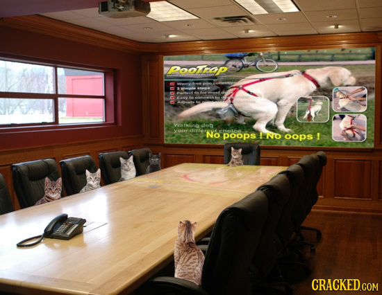 Poosrop Woro B01 te Ahts thing dod yor No chol poops ! NO oops ! CRACKED.COM