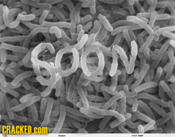 If Nature Decided To Screw With Us