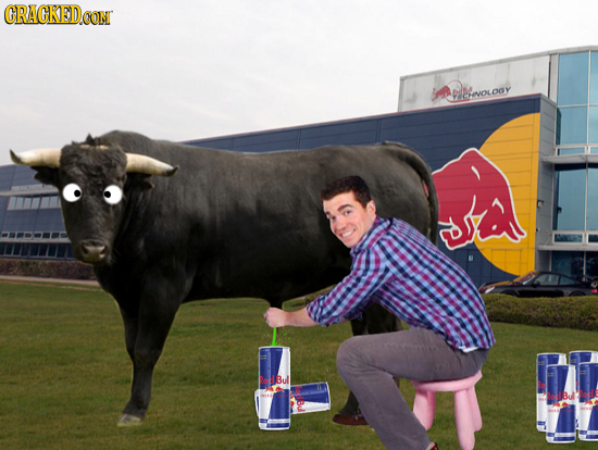 CRACKED.OON PMIVOLDOY Bul