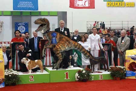 t CRACKED OYE COM NTRZATONOTLE 1 2 3