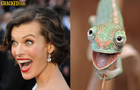 20 Celebrities Who Have Creepy Animal Lookalikes