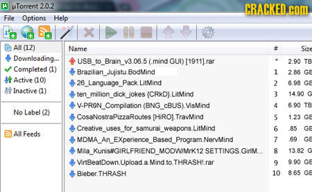 H Torrent 2.0.2 CRACKED. com File Options Help All (12) Name Size Downloading... tusB to Brain V3.08.5 (.mind GUl) (1911j.rar 2.90 TB Completed (1) Br