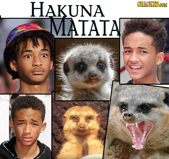 HAKUNA CRAGKEDCON MATATA