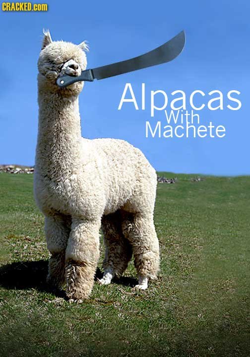CRACKED.com Alpacas With Machete 