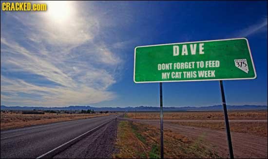 CRACKED.com DAVE DONT FORGET TO FEED RORS 375 MY CAT THIS WEEK