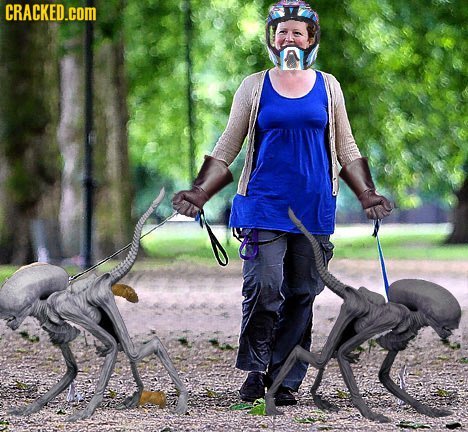 19 Jobs Too Awesome to Exist