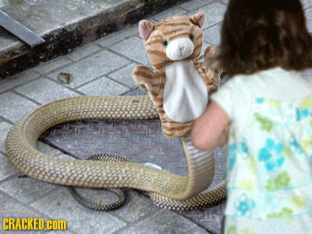 If Nature Decided To Screw With Us