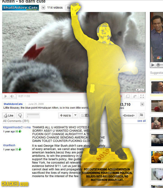 hen so darn cute Shalladore Cats 114 videos Su Suggestio 027/1:53 ShalladoreCats June 2009 13.710 Littie Mousey. the blue point Himalayan kitten. is i