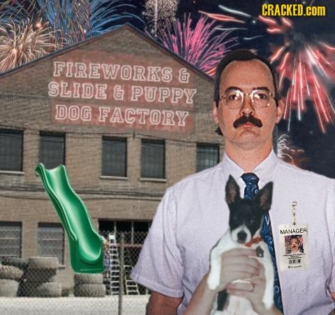 CRACKED.COM FIREWORKS & SLIDE & PUPPY DOG FACTORY MANAGER 
