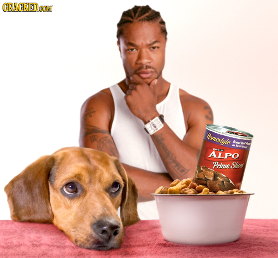 18 Famous Internet Memes Before They Were Famous