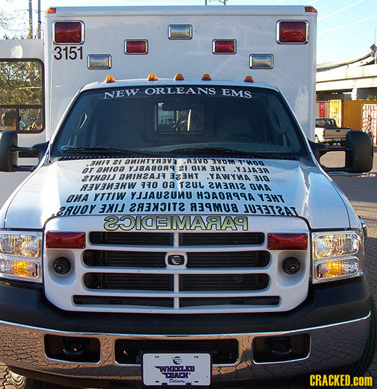 3151 ORLEANS NEW EMS 7HI 21 AMHTYA3V .AVO 3VOM T'Mon or aMOD Y8A8089 21 01 3HT YJJDER 2THAI AMTH2AJ BHT YAWYMA 310 AETVEHEHW 330 oa teul 2M3RIZ OMA an