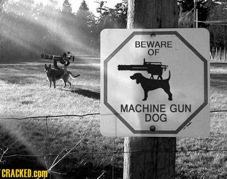BEWARE OF MACHINE GUN DOG CRACKED.COM