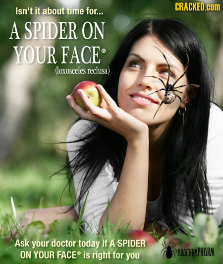 CRACKED.COM Isn't it about time for... A SPIDER ON YOUR FACE lloxosceles reclusa) Ask your doctor today if A SPIDER ON YOUR FACE is right for ARACHNAP