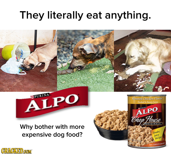 They literally eat anything. PURINA Roasted Chicien Flavor ALPO Coohnd he Sooen ALPO hop House Why O1CINALE bother with more expensive dog food? Tdes
