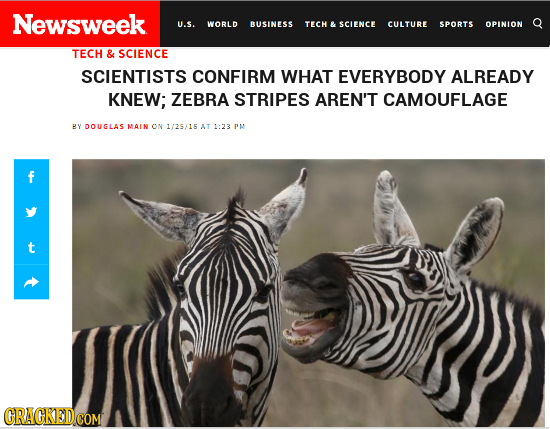 Newsweek Q U.S. WORLD BUSINESS TECH & SCIENCE CULTURE SPORTS OPINION TECH & SCIENCE SCIENTISTS CONFIRM WHAT EVERYBODY ALREADY KNEW; ZEBRA STRIPES AREN