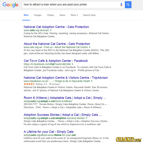 Google how to attract man when you are past your prime Web Images Videos News More Search tools National Cat Adoption Centre Cats Protection www cats