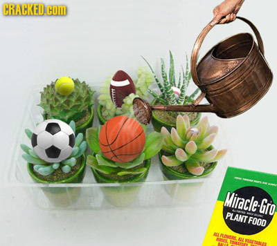 CRACKEDCO Miracle-Gro, PLANT FOOD ML RLOWERL. ROSEX ALL VEGETAALES