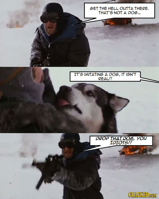 GET THE HELL OUTTA THERE. THAT'S NOT A DOG... IT'S IMITATING A DOG, IT ISN'T REAL!! DROP THATDO. YOU IDIOTS!!