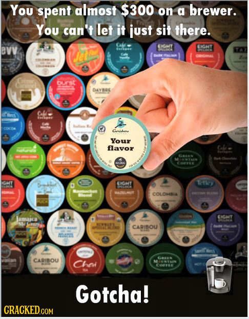 You spent almost $300 on brewer. a You can't let it just sit there. evv EIGHT EIGHT PTO Onl ourst DAYBRE Tirs CA COCOA Cnlee Your flavor S OO IGHT BDA