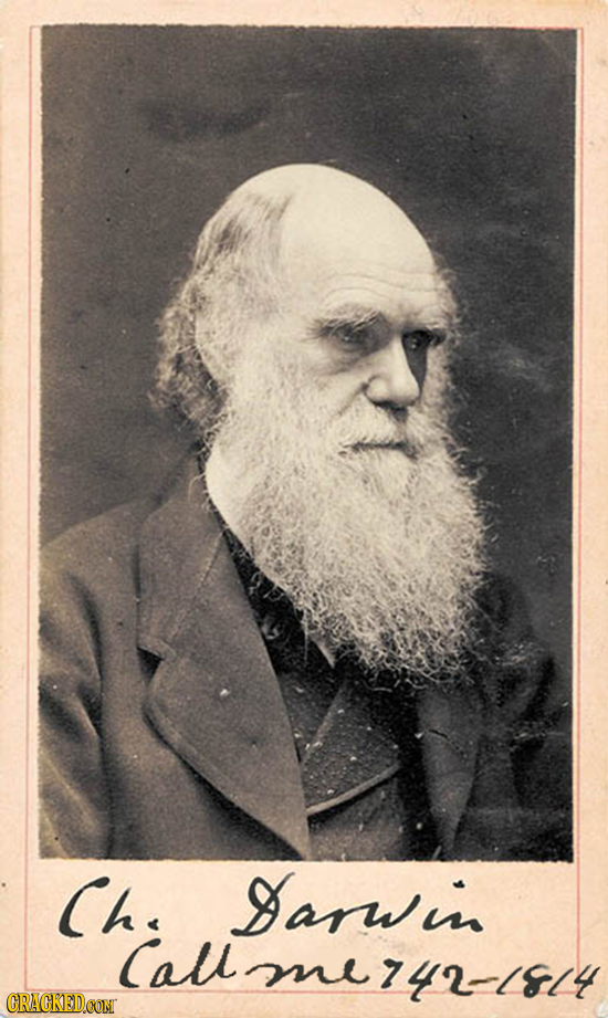 Che arwii Call mnezy2-sl4 e CRACKEDCON