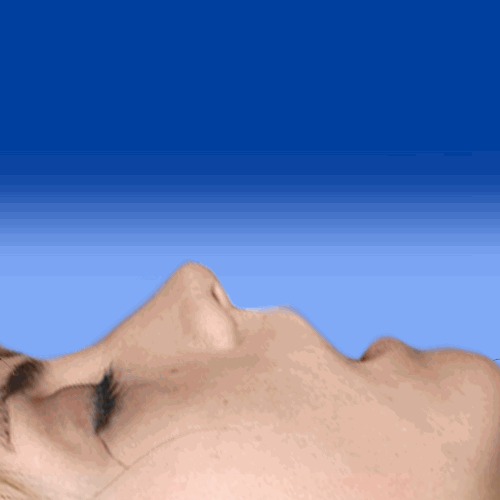 If Every Lie on the Internet Was True