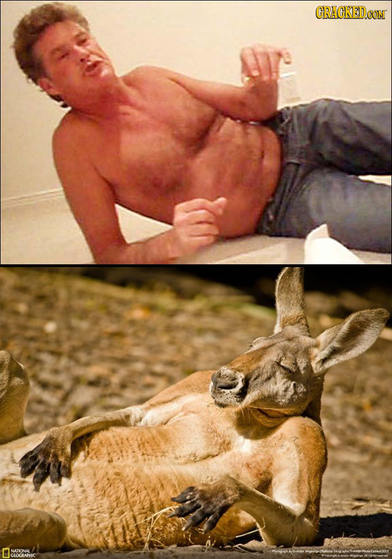 CRACKEDCON NATOL COCAATHC